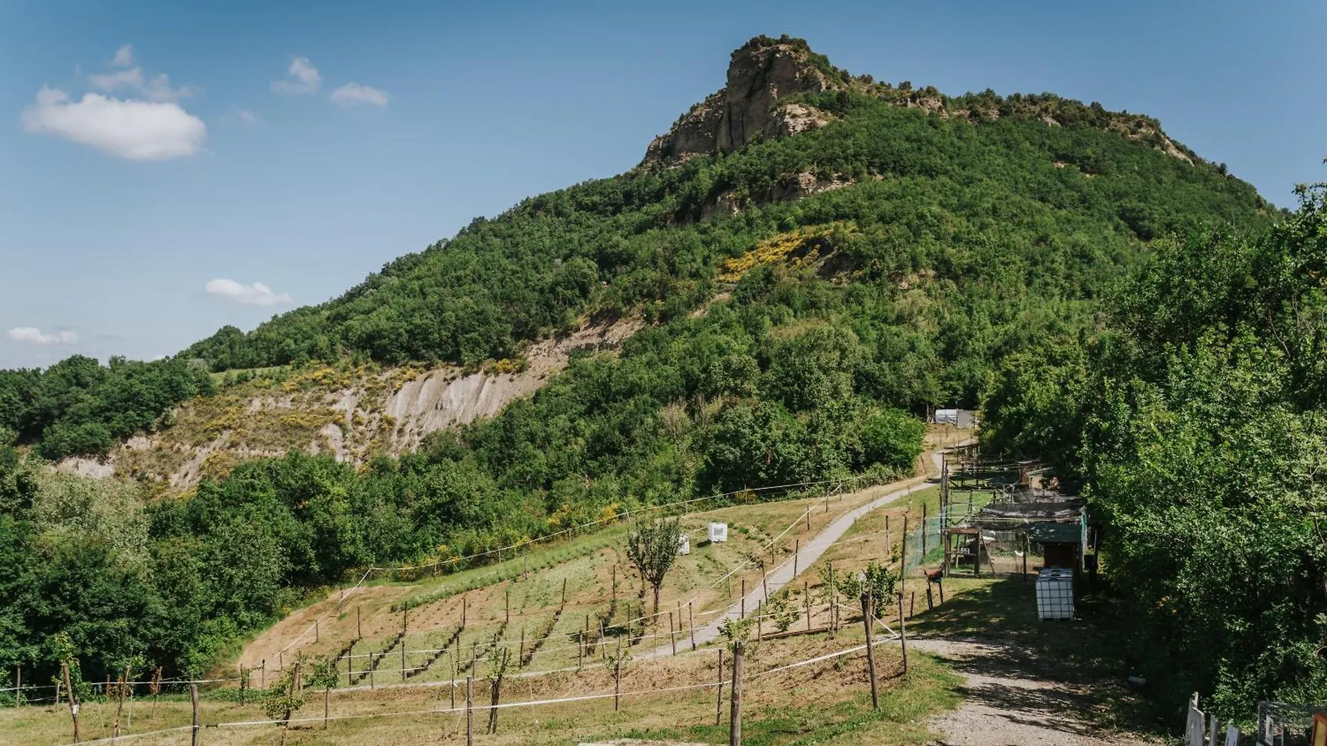 Agricampeggio Ca Di Mazza Monzuno Italien